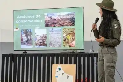 Copahue: el volcán más activo de la Patagonia y las ocho décadas que pocos conocen