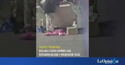 Filmaron a cuatro hombres hurgando la basura y prendiendo fuego el contenedor: los buscan