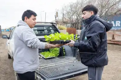 Río Grande reparte plantines gratis: el formulario ya está abierto y los cupos no esperan