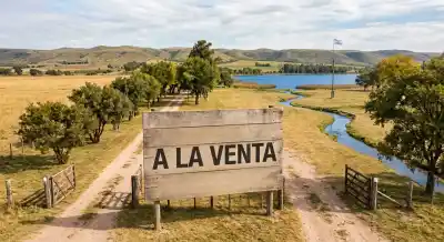 Alerta en Chubut: sospechan que se vendieron campos a extranjeros en un período clave