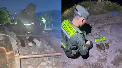 Un control rutinario desató el caos: lo que encontraron en los vehículos dejó a los agentes sin palabras