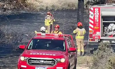 Rawson: el fuego avanzó sobre la Ruta 25 y lo que había en el predio complicó a los bomberos