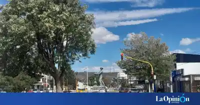 Se subió por atrás del camión y se llevó 415 paquetes de cigarrillos: la moto en la que escapó
