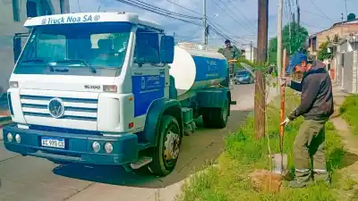Primera Junta suma miles de árboles nuevos: las especies que plantarán en el barrio