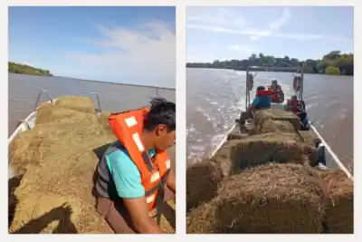 En la isla no pueden moverse ni ellos ni sus animales: la ayuda que llega desde el municipio
