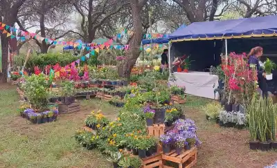 La Expo Vivero vuelve a Toay con más de 70 expositores: qué habrá en el Jardín Botánico