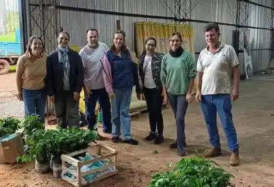 Dejaban el tabaco de lado y apostaron a otra fruta: qué recibieron en Wanda