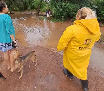 Misiones respira: bajó el Iguazú y reabrieron una ruta clave, pero el Paraná todavía tiene diez pasos cerrados