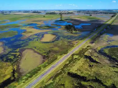 El campo estalló contra una ley bonaerense que toca la plata de los caminos rurales