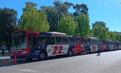 Seis colectivos nuevos y un cambio que toca el bolsillo: lo que viene en El 22