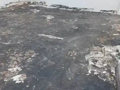 La Catedral de Formosa ya tiene obreros en el techo: qué encontraron arriba del camarín de la Virgen