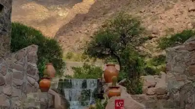 La hipótesis que apunta a las aves migratorias como vía de ingreso de la ameba a Fiambalá