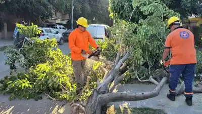 Valle Viejo se prepara para El Niño: el pedido que hace Defensa Civil a los vecinos