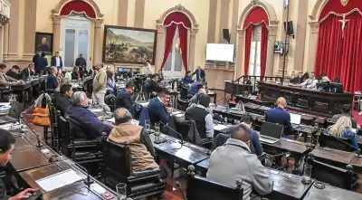 Insultos, ídolos y "gatitas": la sesión que estalló en Diputados