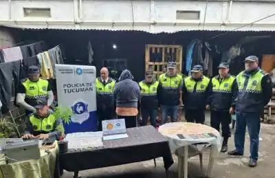 Fueron a buscar una moto robada y en la casa de un sospechoso apareció un plantín de cannabis