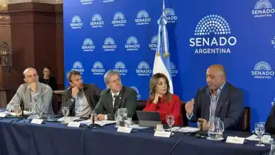 El planteo de Salta en el Senado que incomoda a la Nación: quién pierde plata