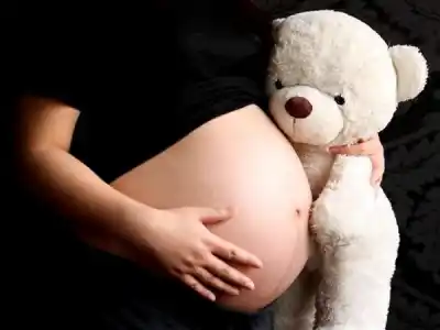 Salta aprobó por unanimidad un pedido a Nación por el plan ENIA: qué pasó con los fondos