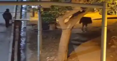 Una campera tapaba algo enorme: la Policía siguió a tres hombres por las cámaras y terminó en Parque Sur