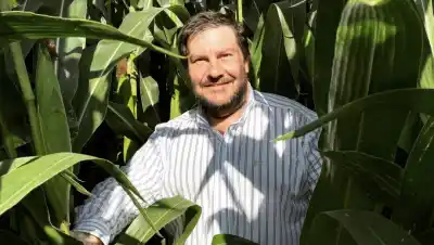 Roca: la charla gratuita que revela por qué el maíz argentino rinde menos que el de EE.UU.