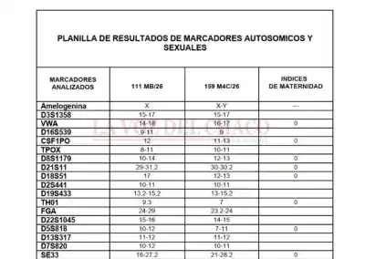 Apareció sangre en el Nissan del caso Axel, pero el ADN dio un resultado que nadie esperaba