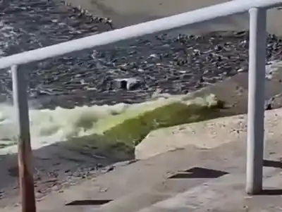 Rada Tilly: qué es lo que realmente sale por la bajada 16 y la intendenta salió a aclararlo