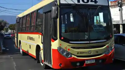 Dos colectivos de El Nene seguían rodando pese a estar dados de baja: qué encontró Transporte