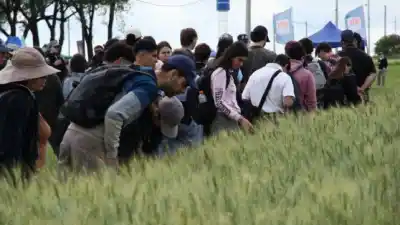 La Fiesta del Trigo en Valle María: el número que sorprendió a los propios organizadores