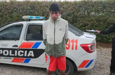 Trepó el alambrado con un menor y vació la casa: lo que activó la alarma lo delató