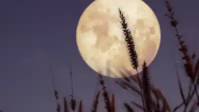 El cielo patagónico se prepara para un espectáculo único: la Luna del Cazador