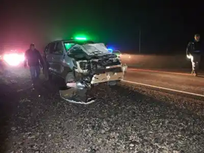 Un caballo cruzó la Ruta 5 de noche: lo que pasó con la camioneta que venía