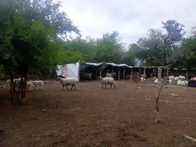 Recorrieron tres parajes rurales: qué encontraron en cada rodeo