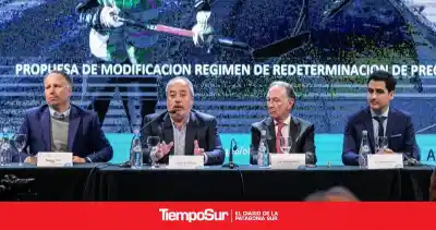 La Patagonia se sienta a discutir su futuro: el dato que preocupa a las empresas de Santa Cruz