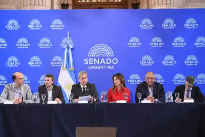 Corrientes reclama en el Senado: de cada $100 que se recaudan, la Nación se queda con $70