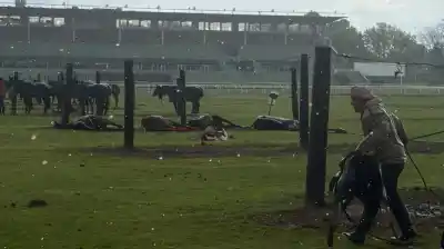 Un rayo cayó en plena práctica de polo en San Isidro: el cuidador salió despedido 3 metros