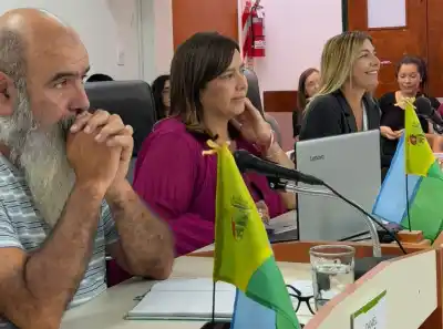 Merlo debate tres créditos por $1.900 millones: la garantía que enciende las alarmas