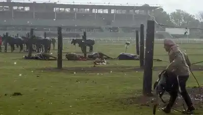 Un rayo cayó en plena práctica de polo en San Isidro: cuatro yeguas muertas y un cuidador despedido