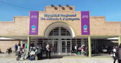 Llegó al hospital con un golpe en la cabeza y contó una historia de caballos, pero los médicos descubrieron algo que lo cambió todo