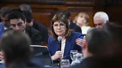 Bullrich marcó el límite que puede aislar a Milei: "La unanimidad te aísla"
