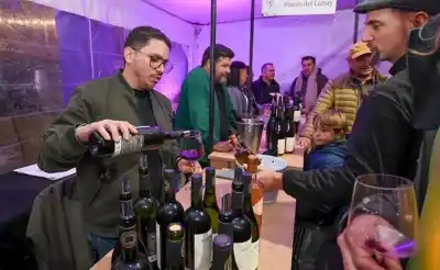 La capital se llena de vino: 14 bodegas neuquinas y un line up que sorprende