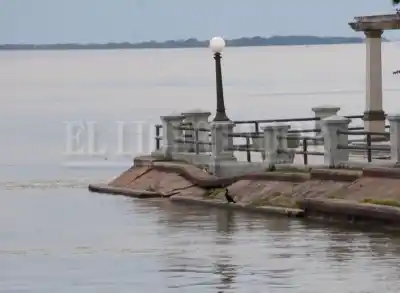 El río Paraná avanza y la Punta San Sebastián ya muestra una falla que casi nadie puede ver