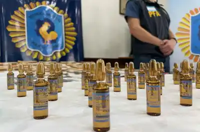 Fentanilo: Diputados dio el paso clave y ahora la Anmat tendrá un reloj que corre en contra