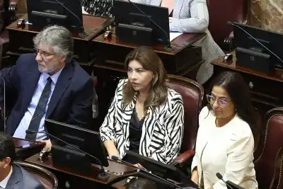 La interna que destrabó la reforma de salud mental: quién firmó y por qué