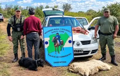 Un auto llamó la atención en la ruta 14 y adentro había dos corderos: uno vivo y otro faenado