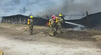 Se les quemó una nave entera: 12.500 pollitas ponedoras no pudieron escapar del fuego en la ruta 226