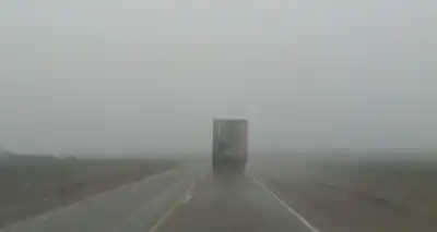 Alerta en la Ruta 3: lo que aparece en la calzada entre Comodoro y Garayalde