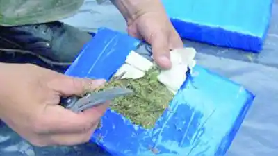 Iba a entregar 14 ladrillos de marihuana: lo que resolvió el juez ocho años después