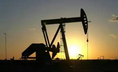 Milei dijo que sin RIGI La Pampa "se enemistó con el crecimiento": la respuesta que preparan en Santa Rosa