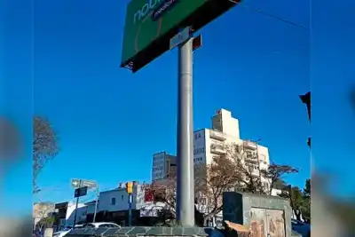 El árbol emblema de Entre Ríos que estaba frente a la Terminal ya no está