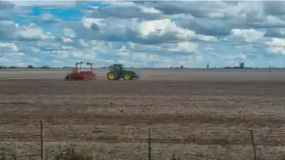 La soja ya se siembra en el centro norte santafesino: la cifra que se repite campaña tras campaña