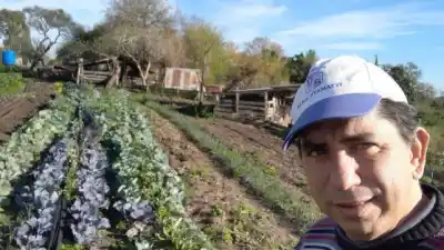 Vendía cordero a $150.000 y nadie se lo compraba: el plan que encontró en el monte para comer